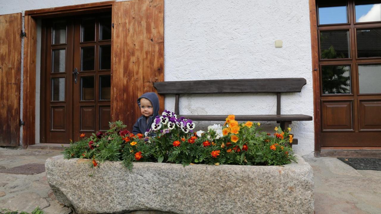 Penzion Mauritz Nová Pec Exteriér fotografie